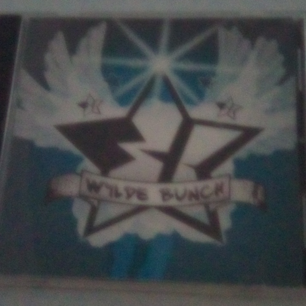 Wylde Bunch CD Rough Mixes 7/02/07